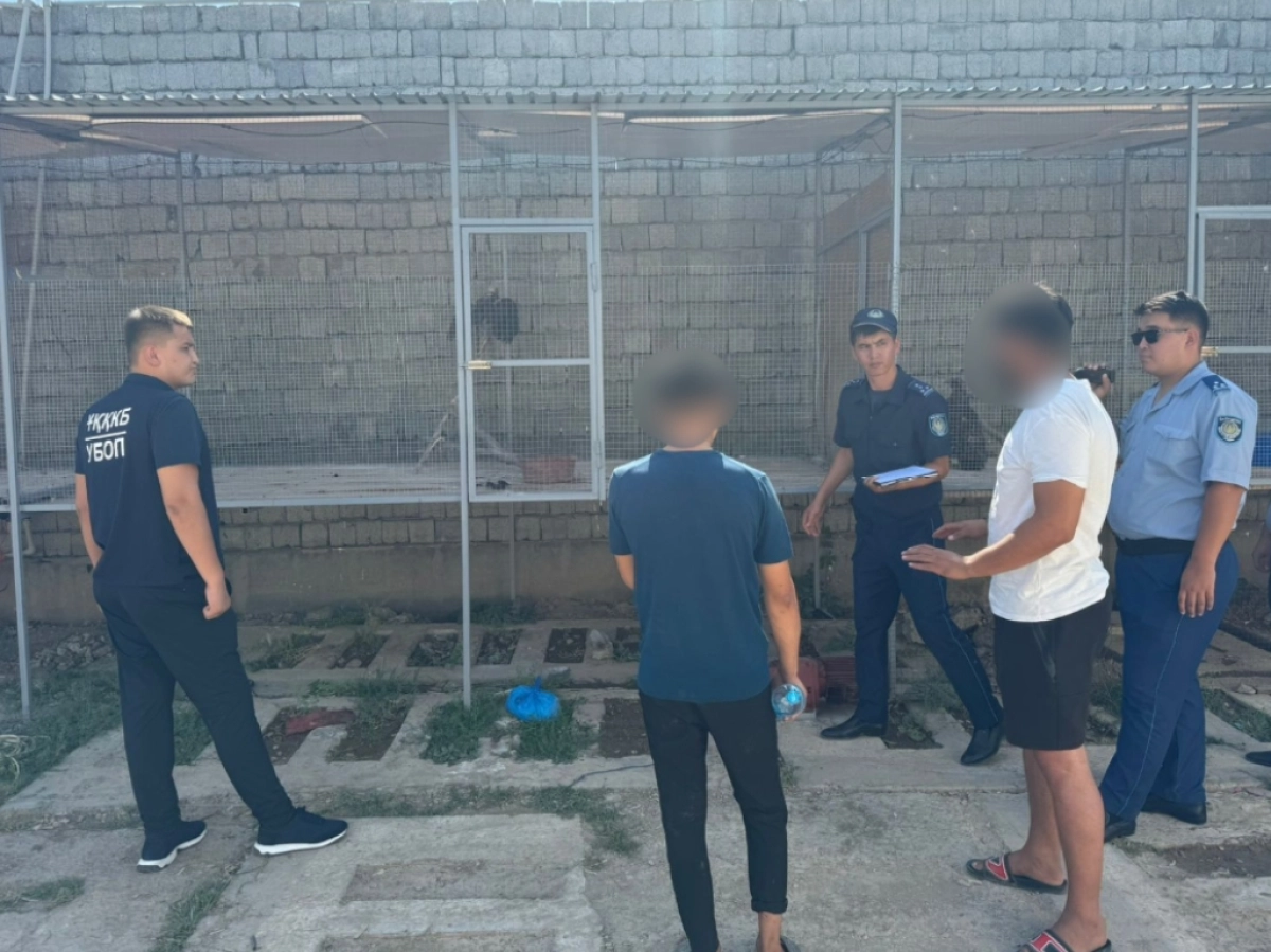 Фото: ДП Туркестанской области