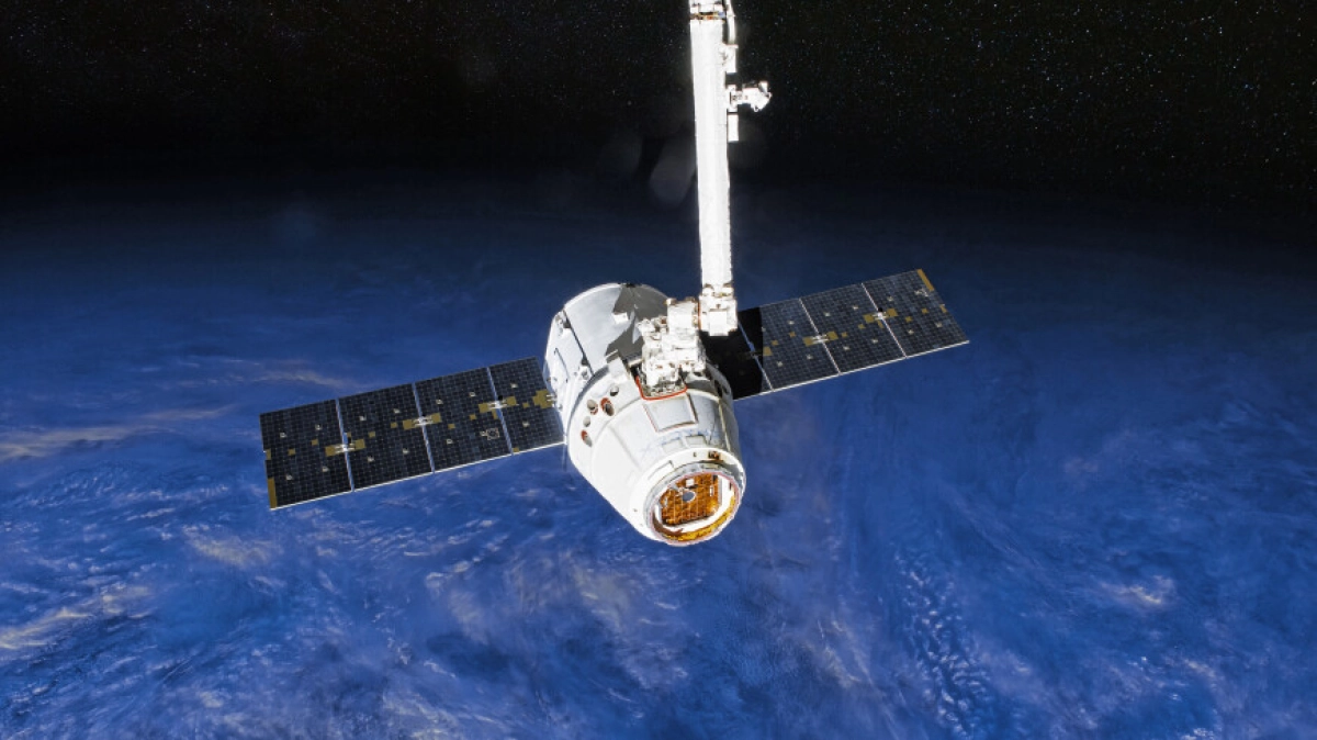 Фото: Shutterstock/FOTODOM