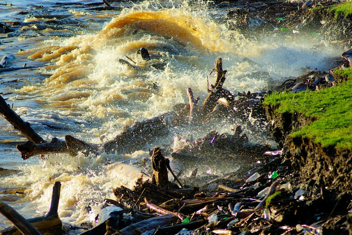 Фото: pixabay