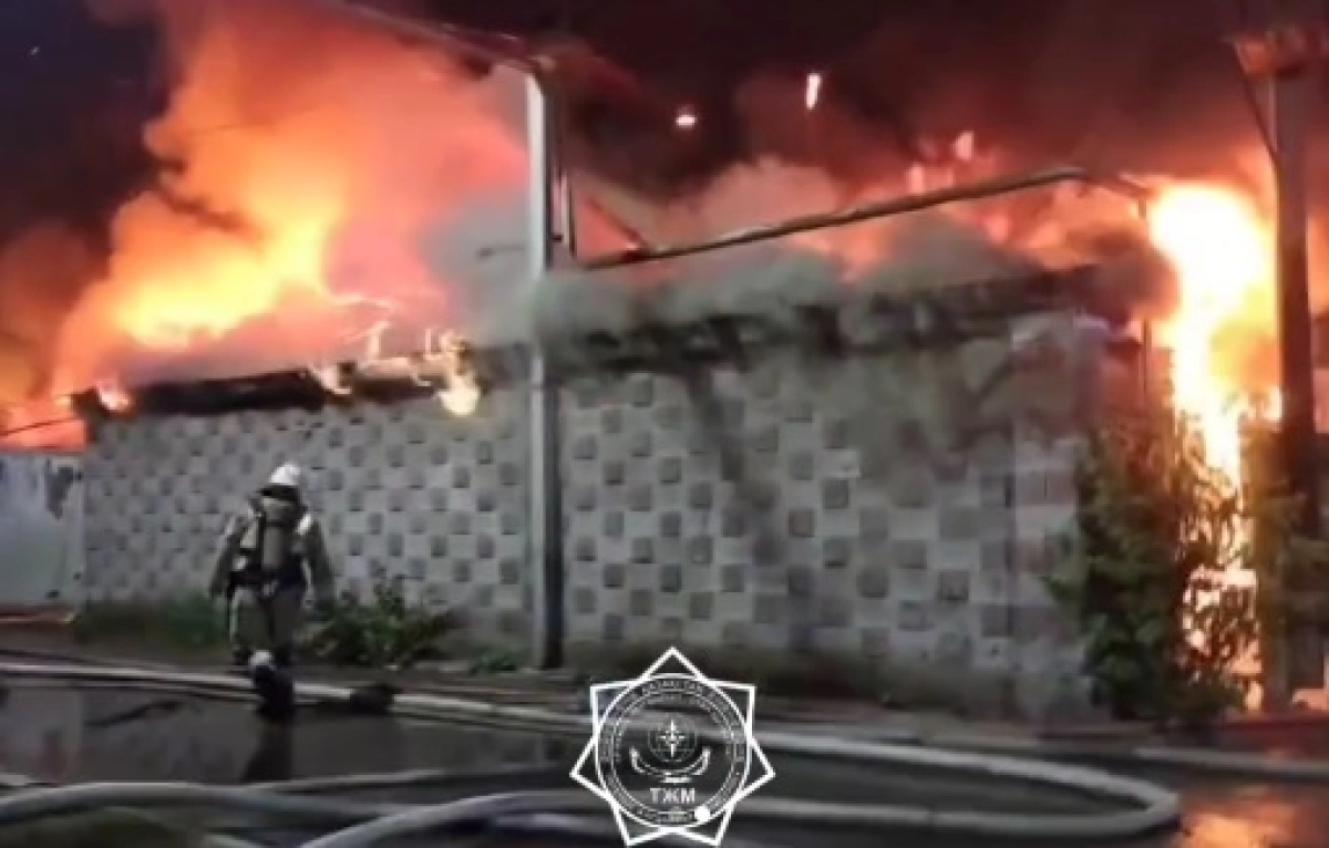 Фото: кадр из видео