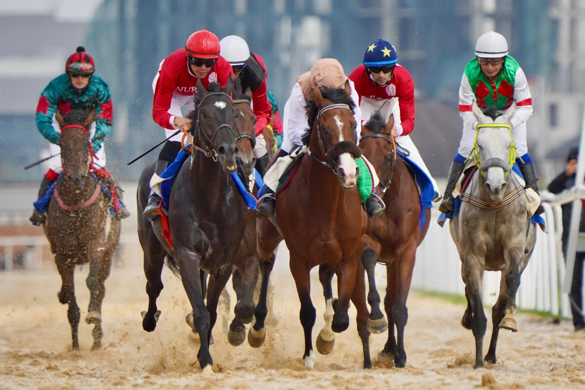 Фото: министерство туризма и спорта