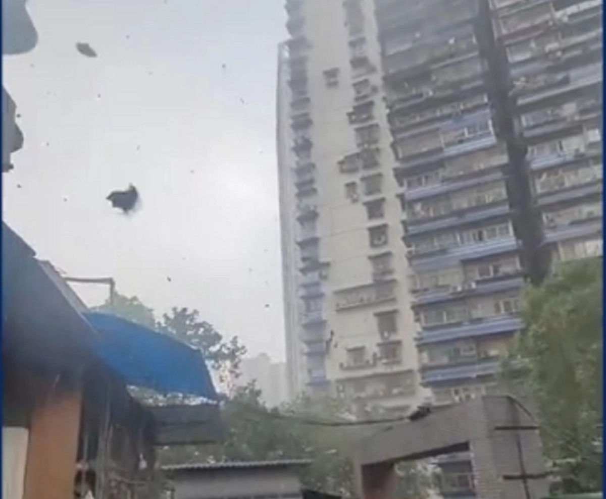 Кадр из видео