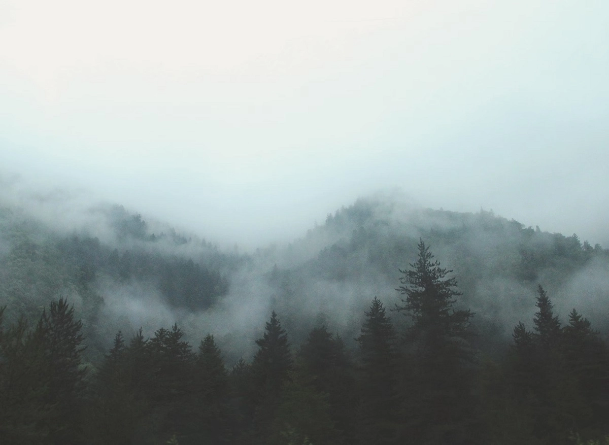 Фото: unsplash