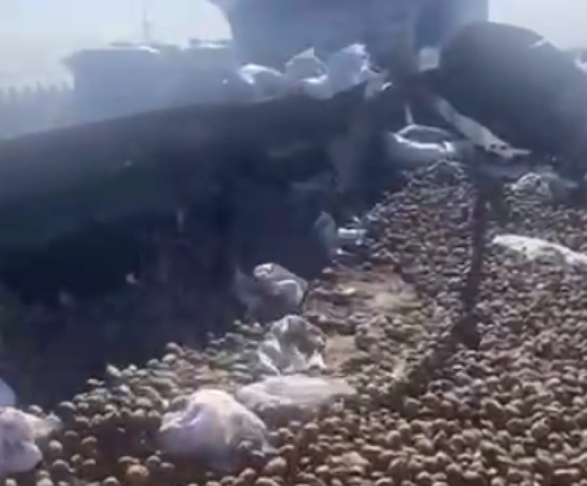 Кадр из видео