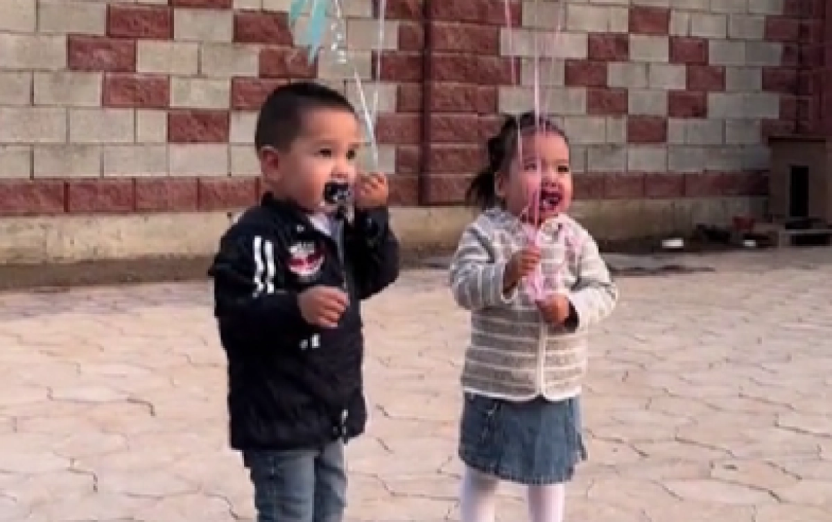 Фото: кадр из видео