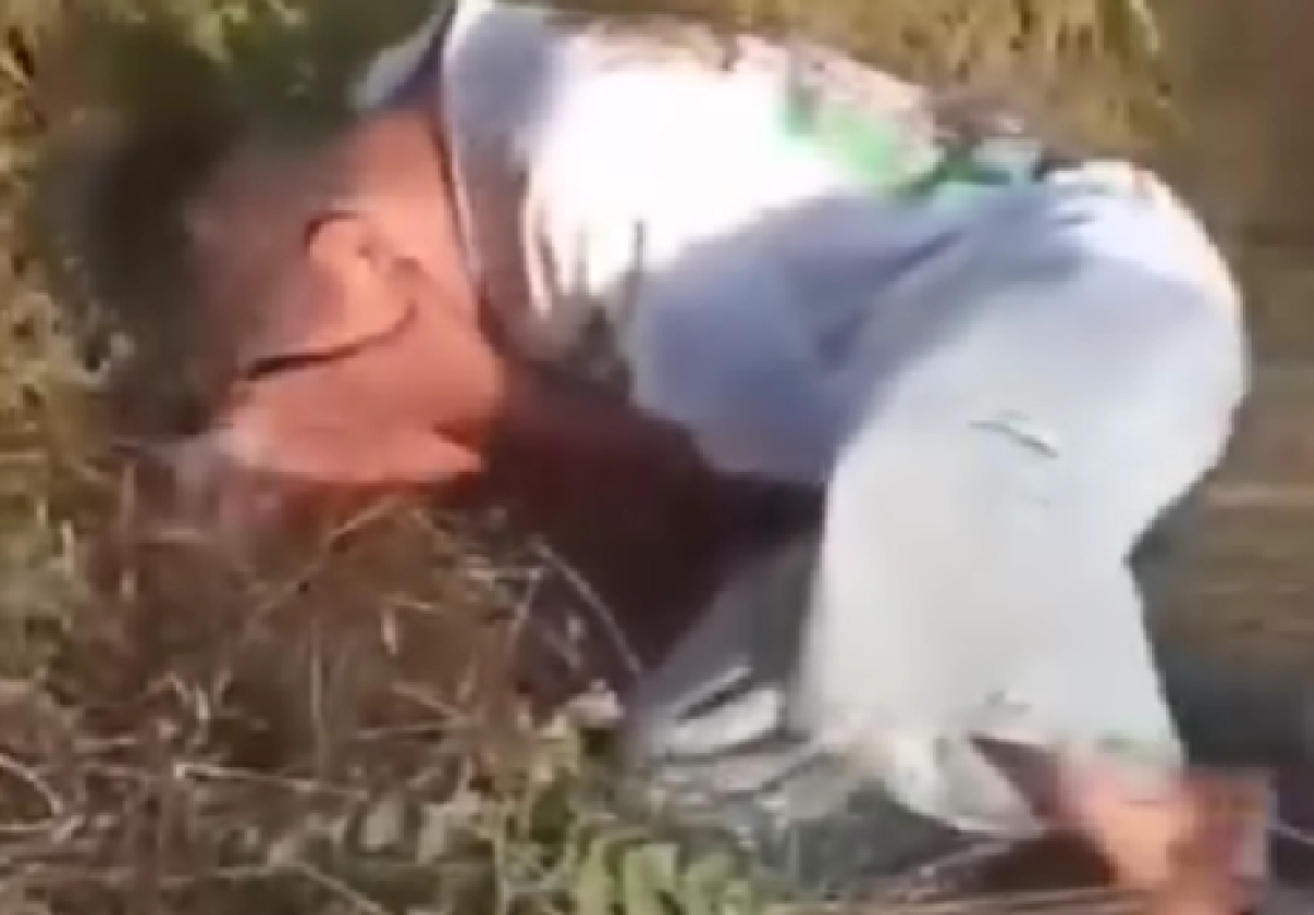 Фото: кадр из видео