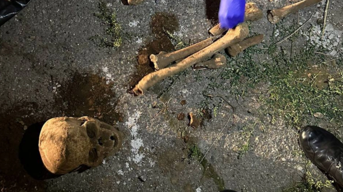 Фото: Telegram/ almaty_my