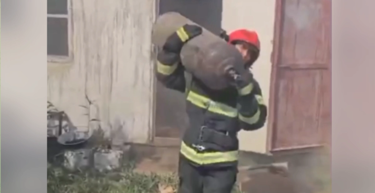 Фото: кадр из видео