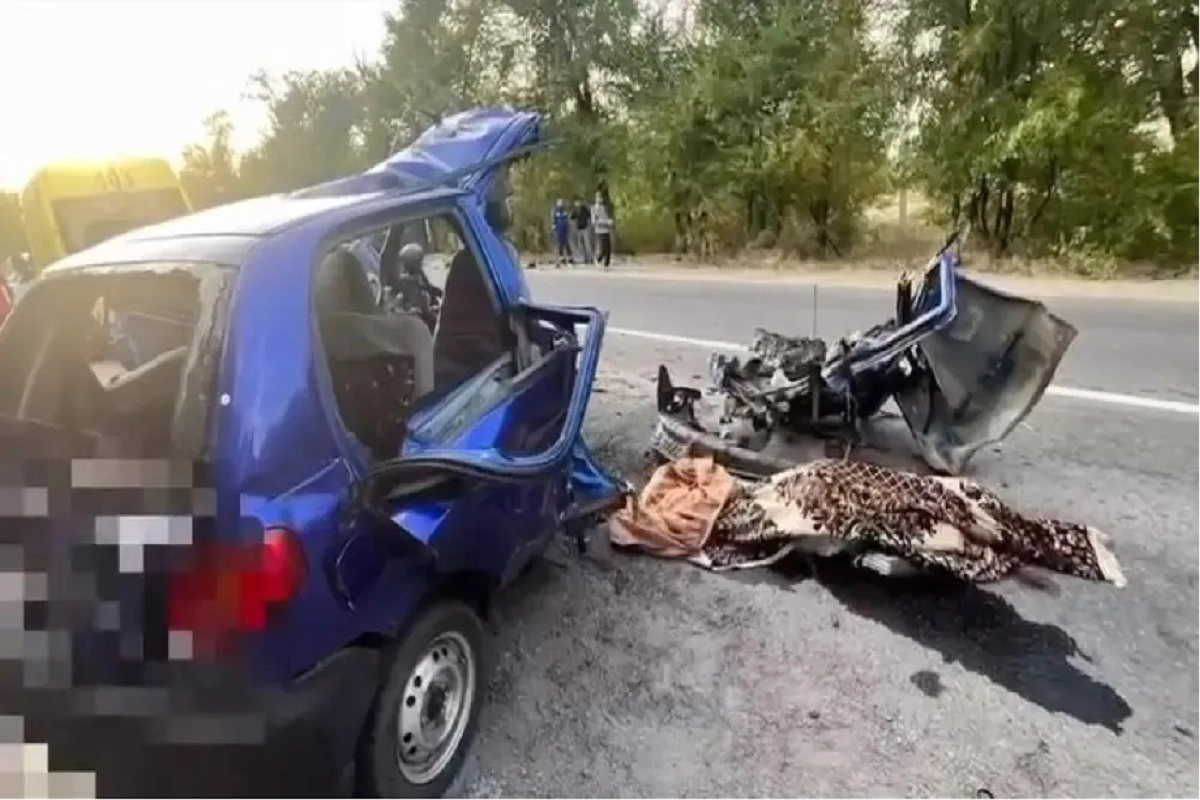 Фото: скриншот из видео