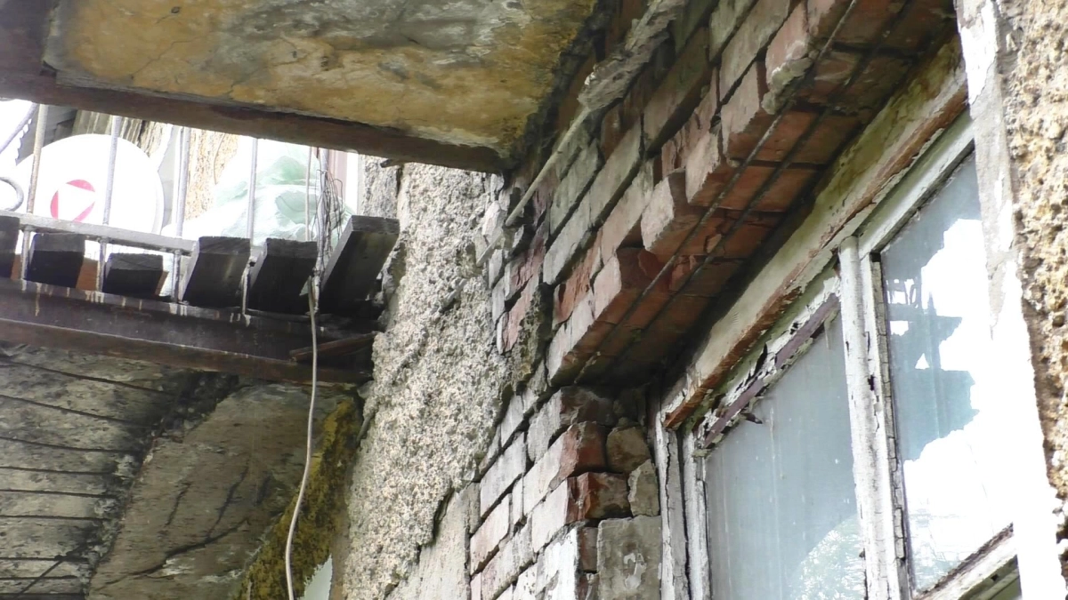 Фото:  Дмитрий Белов