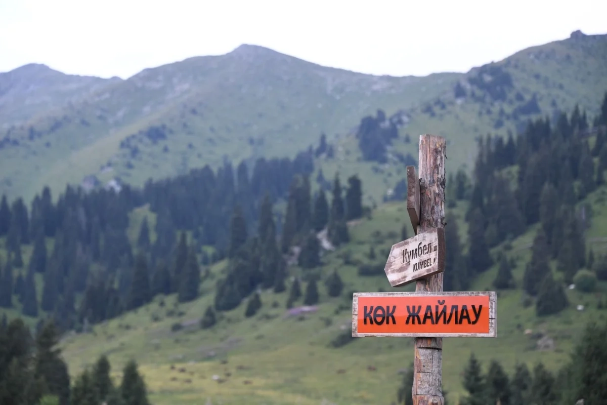 Фото: акимат Алматы