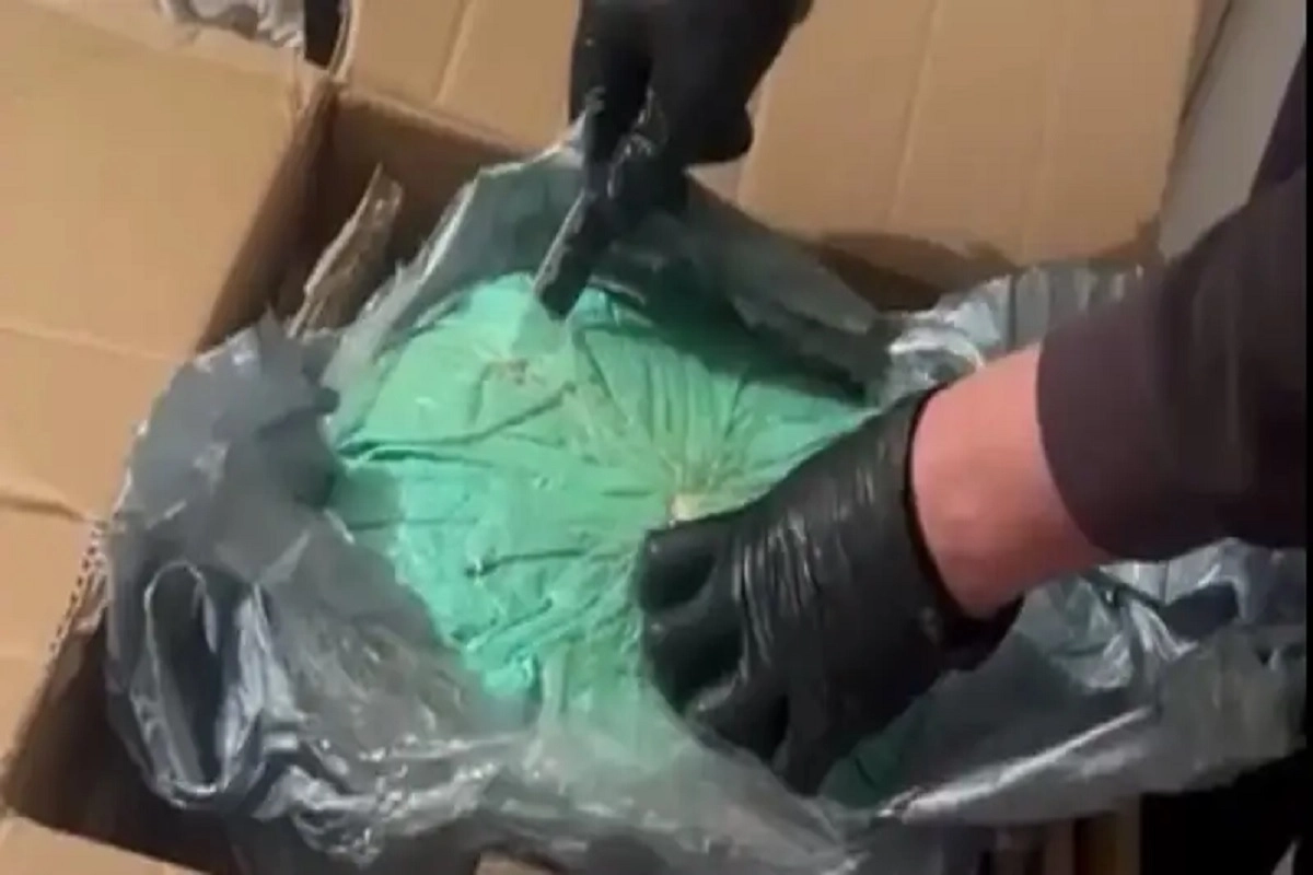 Фото: пресс-служба МВД РК