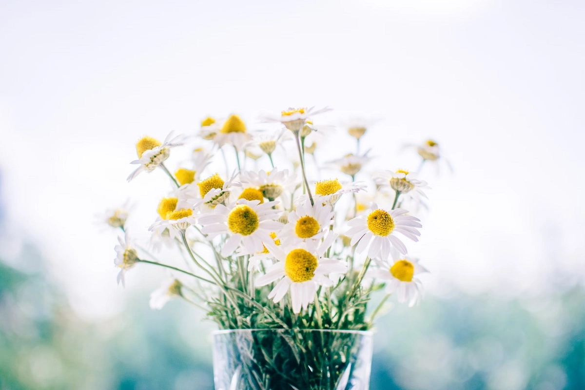 Фото: unsplash