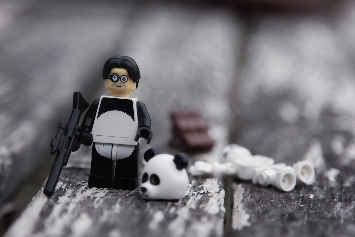 Фото: pixabay.com