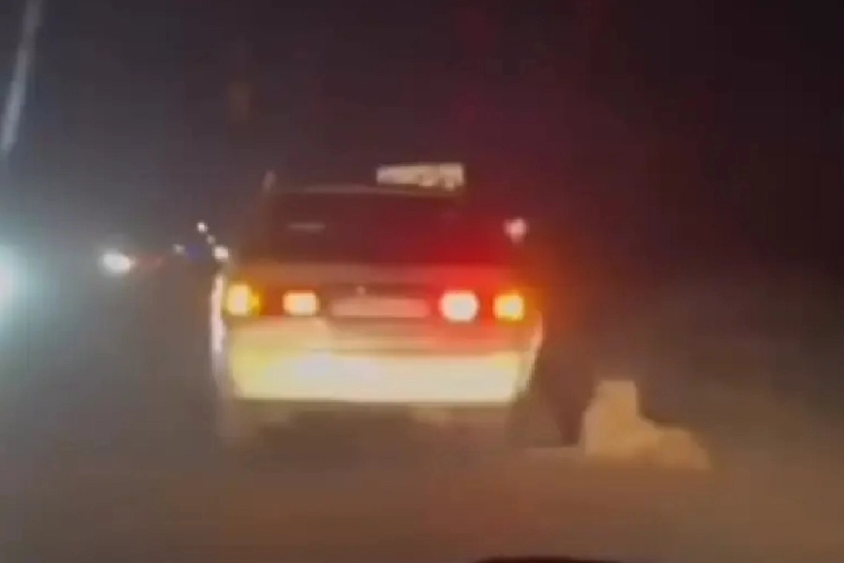 Фото: скриншот из видео