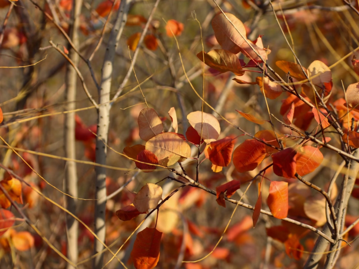 Фото: unsplash.com