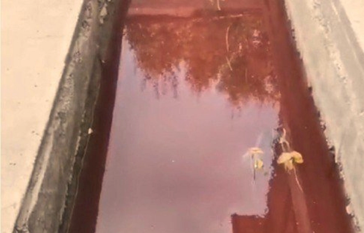 Фото: соцсети