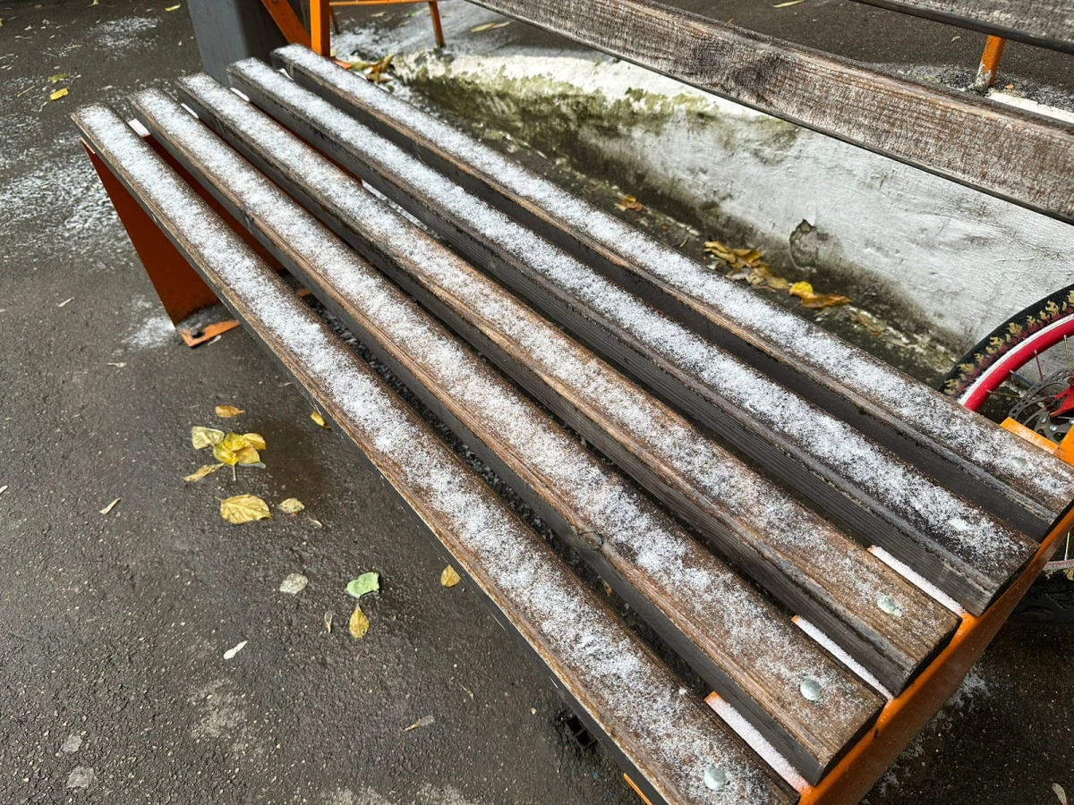 Фото: ИА New Times.kz