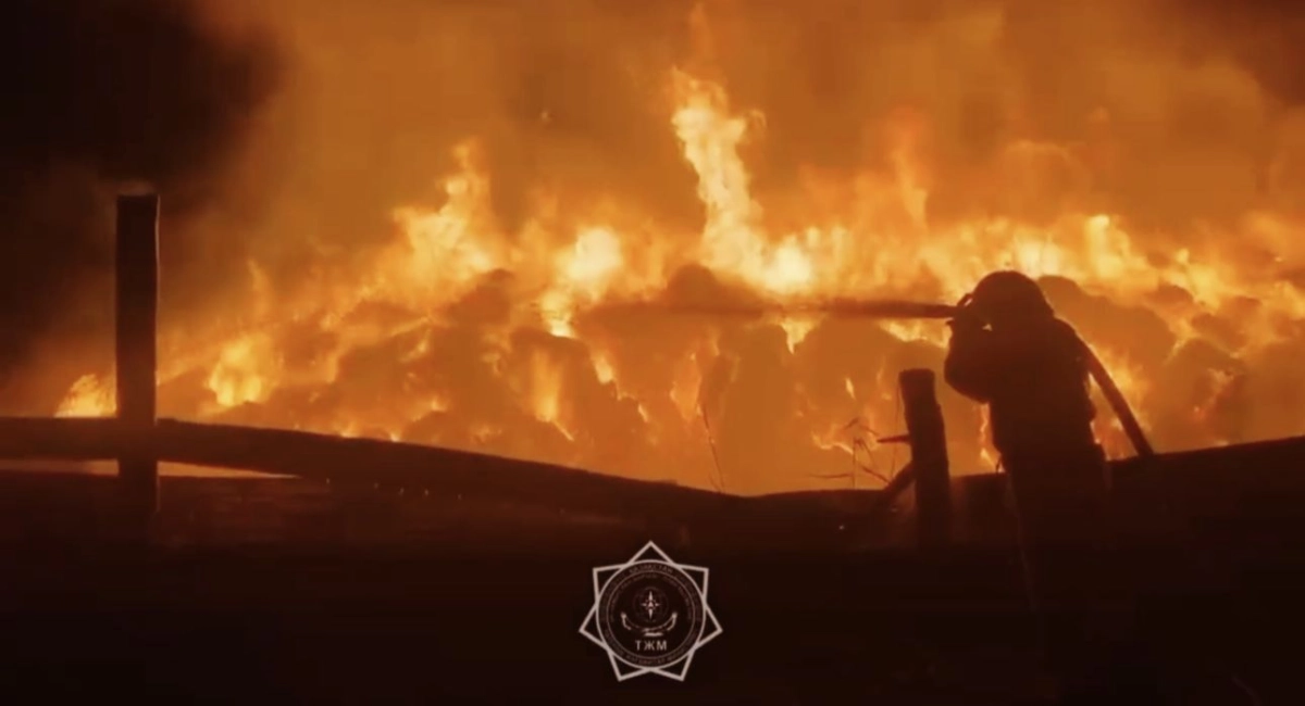 Фото: скриншот с видео МЧС РК