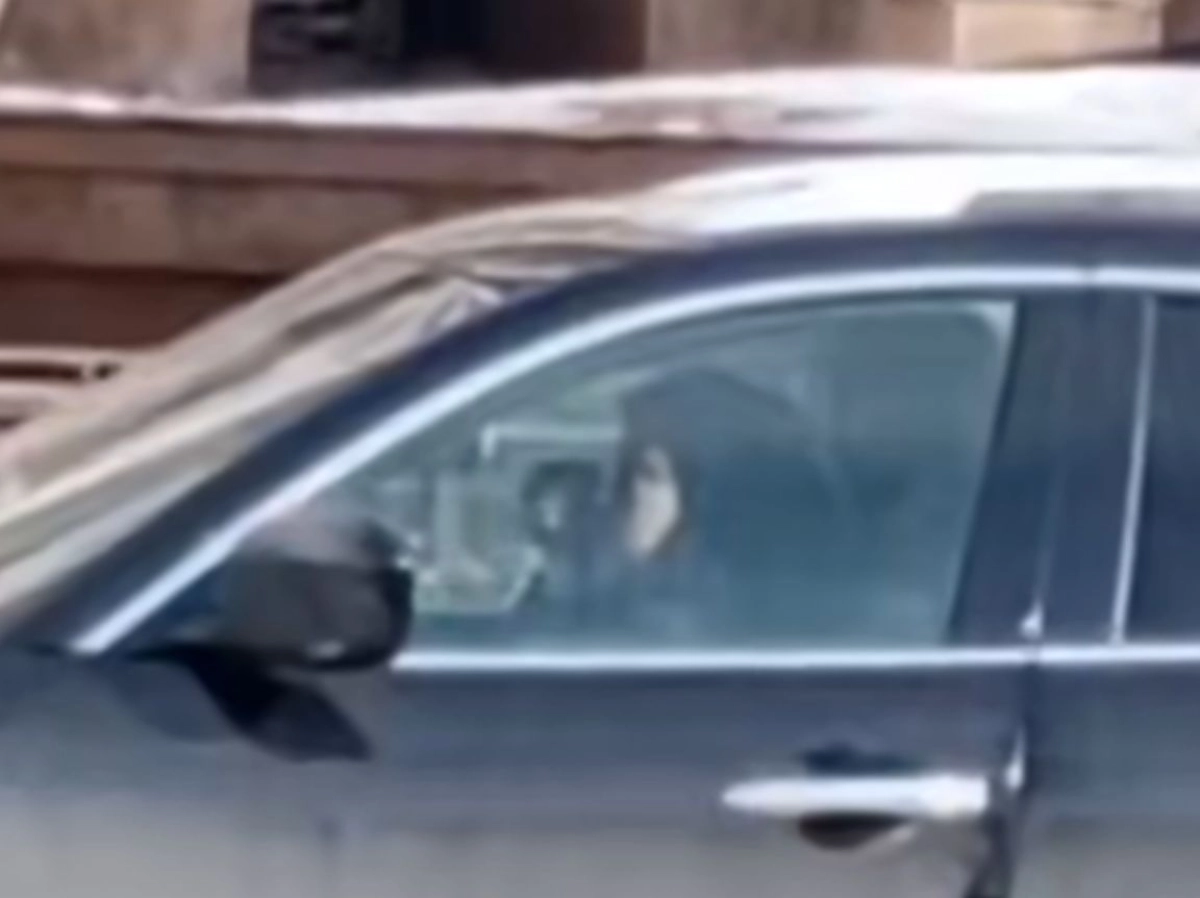 Кадр видео