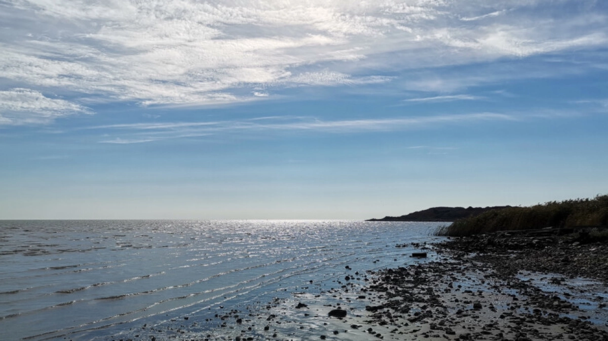 Фото: МТРК «Мир» / Маргарита Топычканова