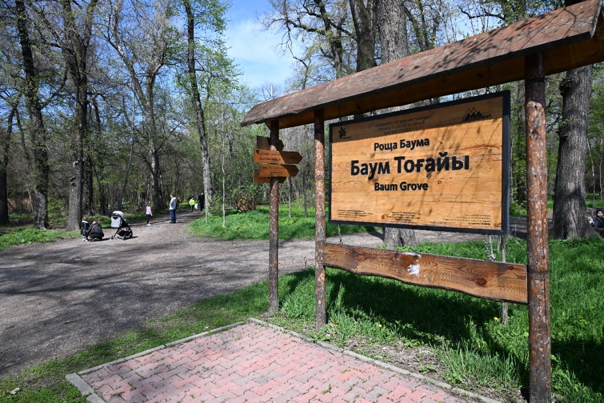 Фото: пресс-служба акимата Алматы