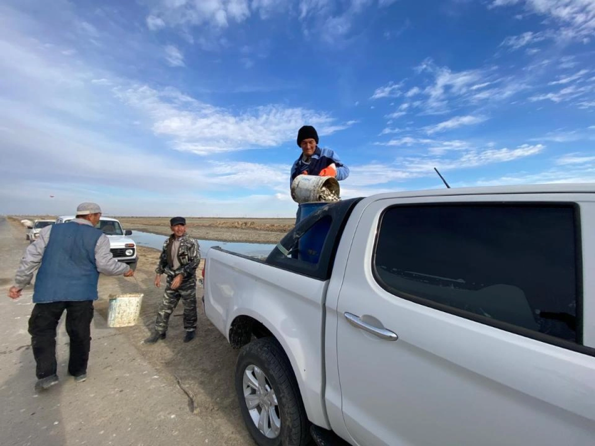 Фото: МСХ РК