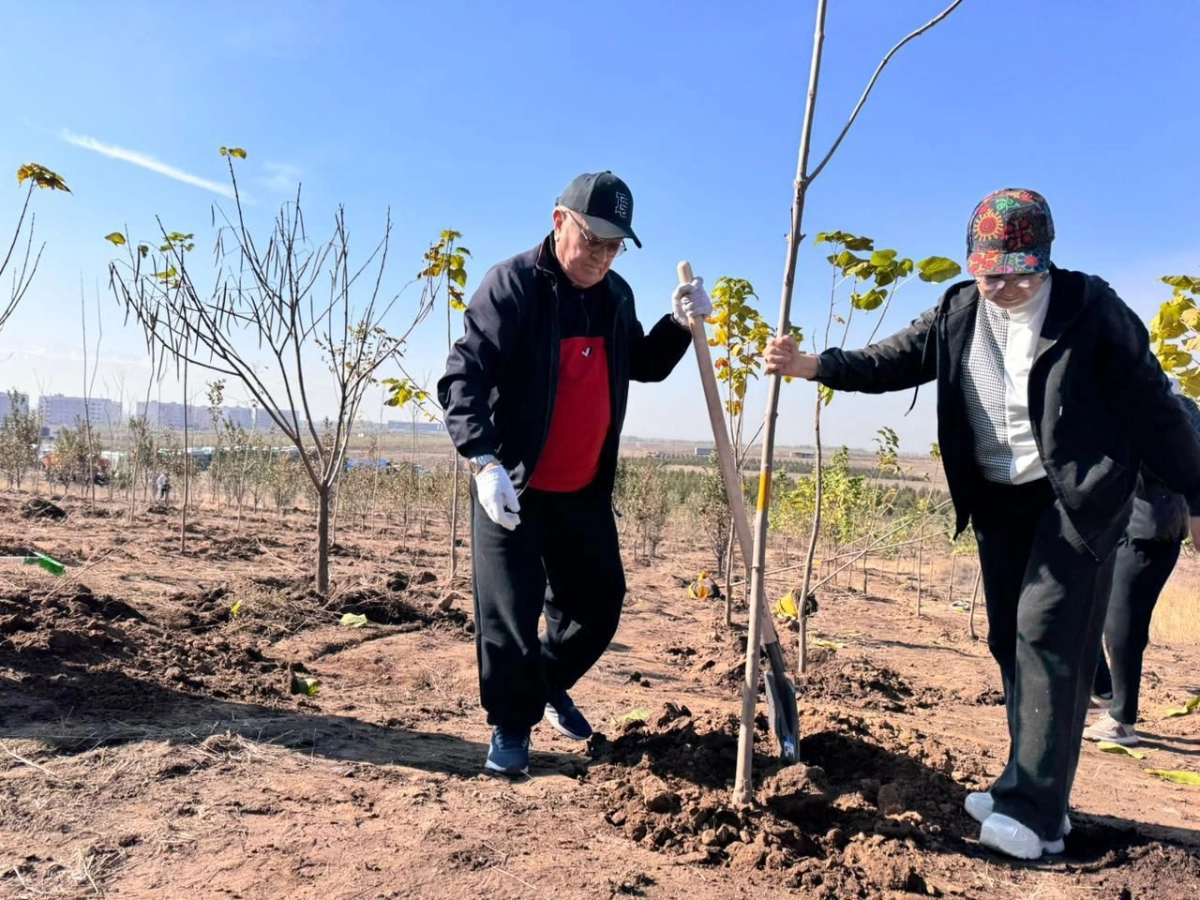 Фото: пресс-служба акимата Алматы