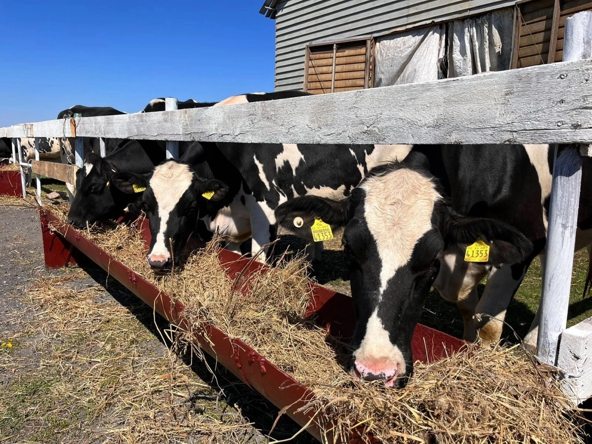 Фото Управления сельского хозяйства и земельных отношений СКО