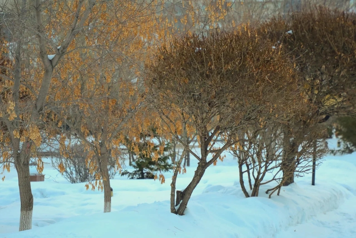 Фото: ИА «NewTimes.kz»