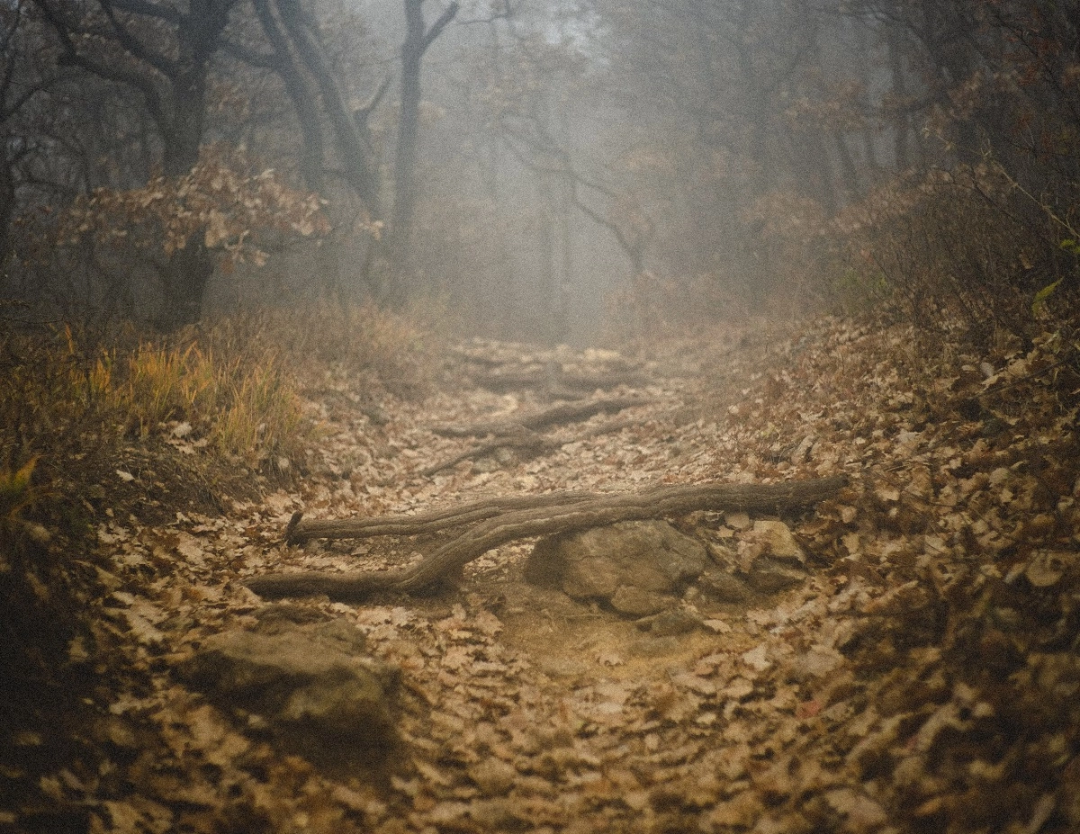 Фото: unsplash