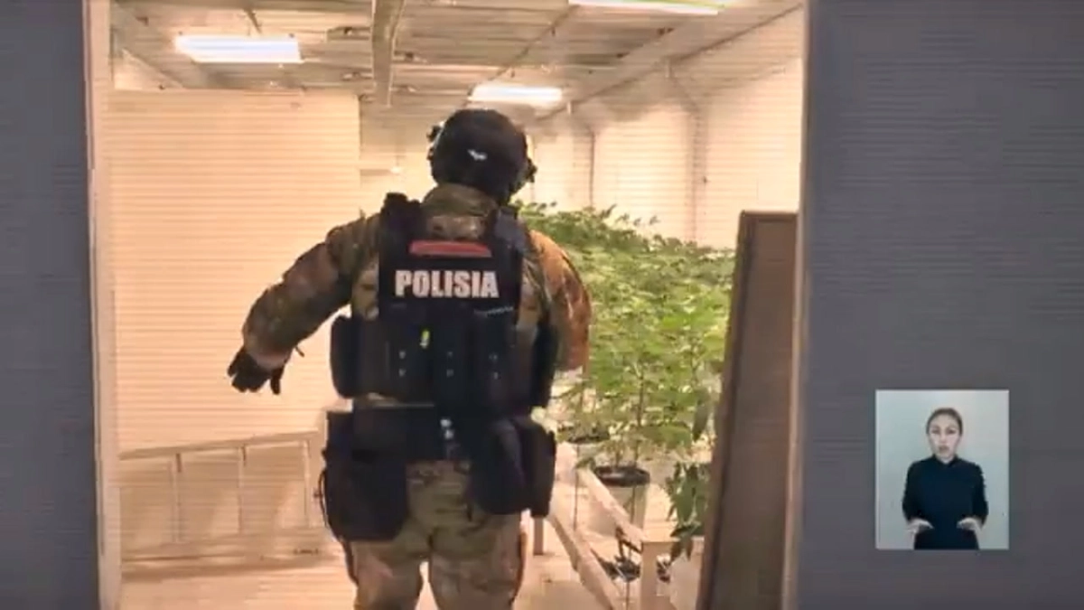 Кадр из видео