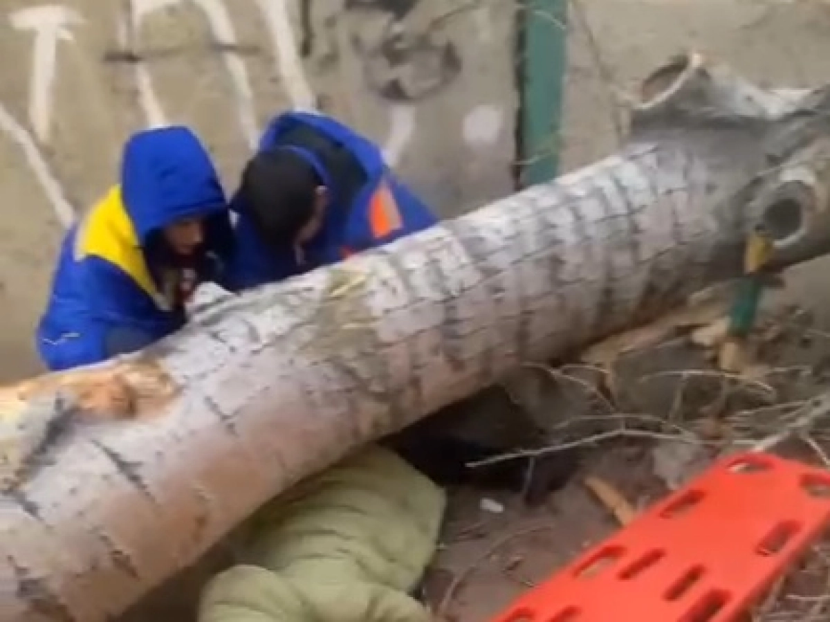 Фото: кадр из видео