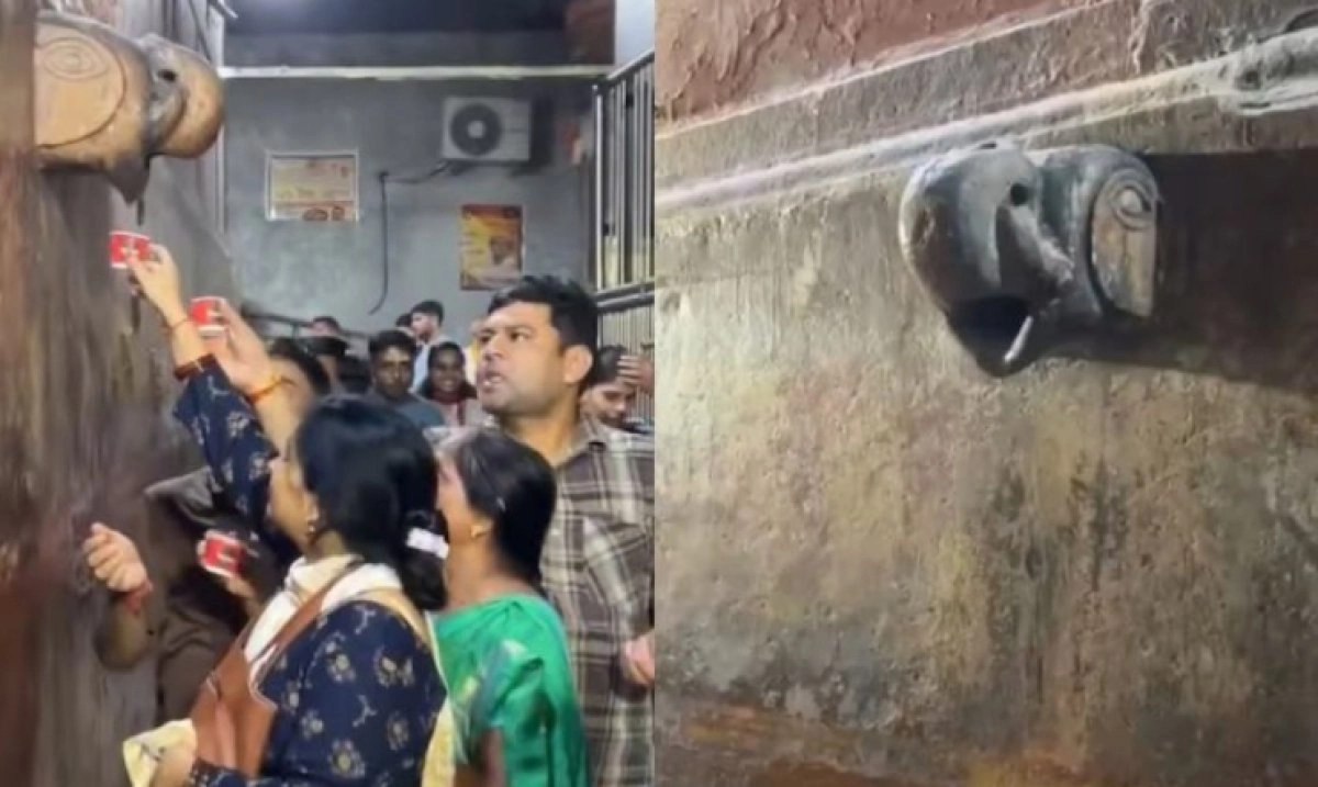 Фото: odditycentral