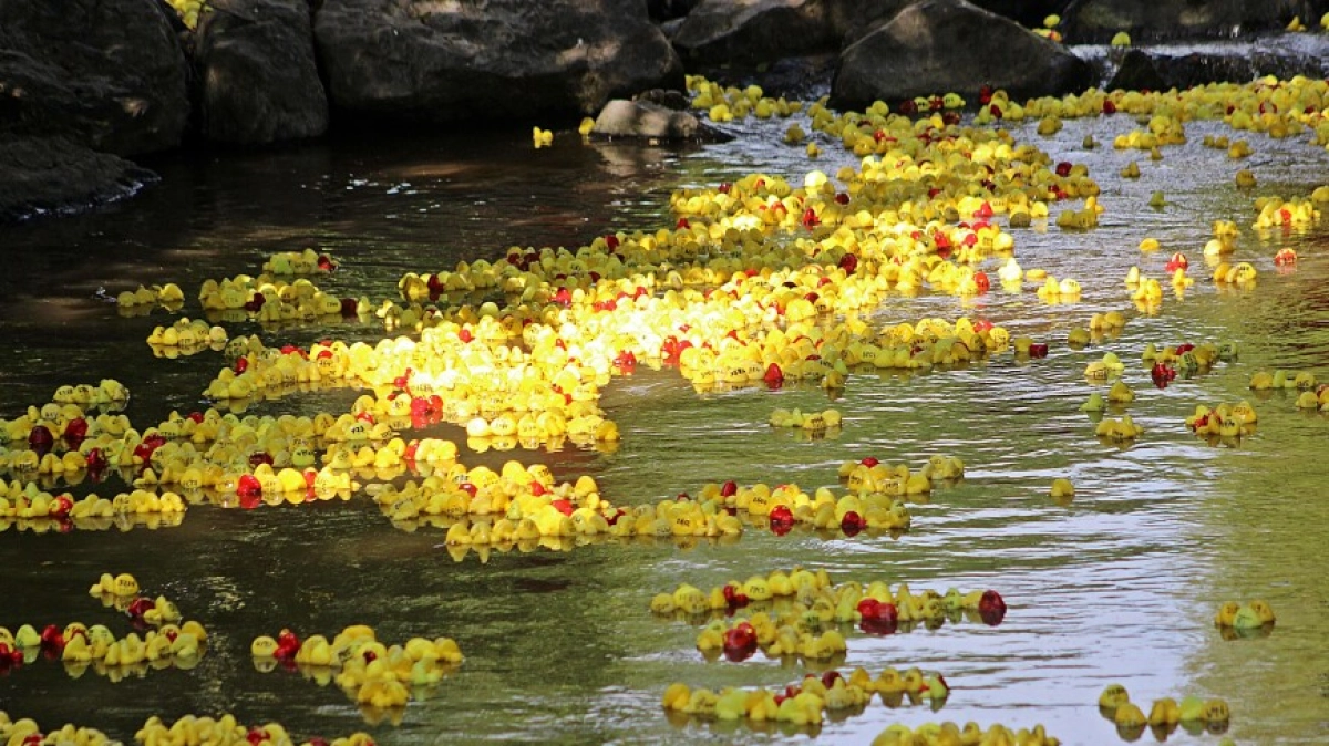 Фото: Shutterstock/FOTODOM