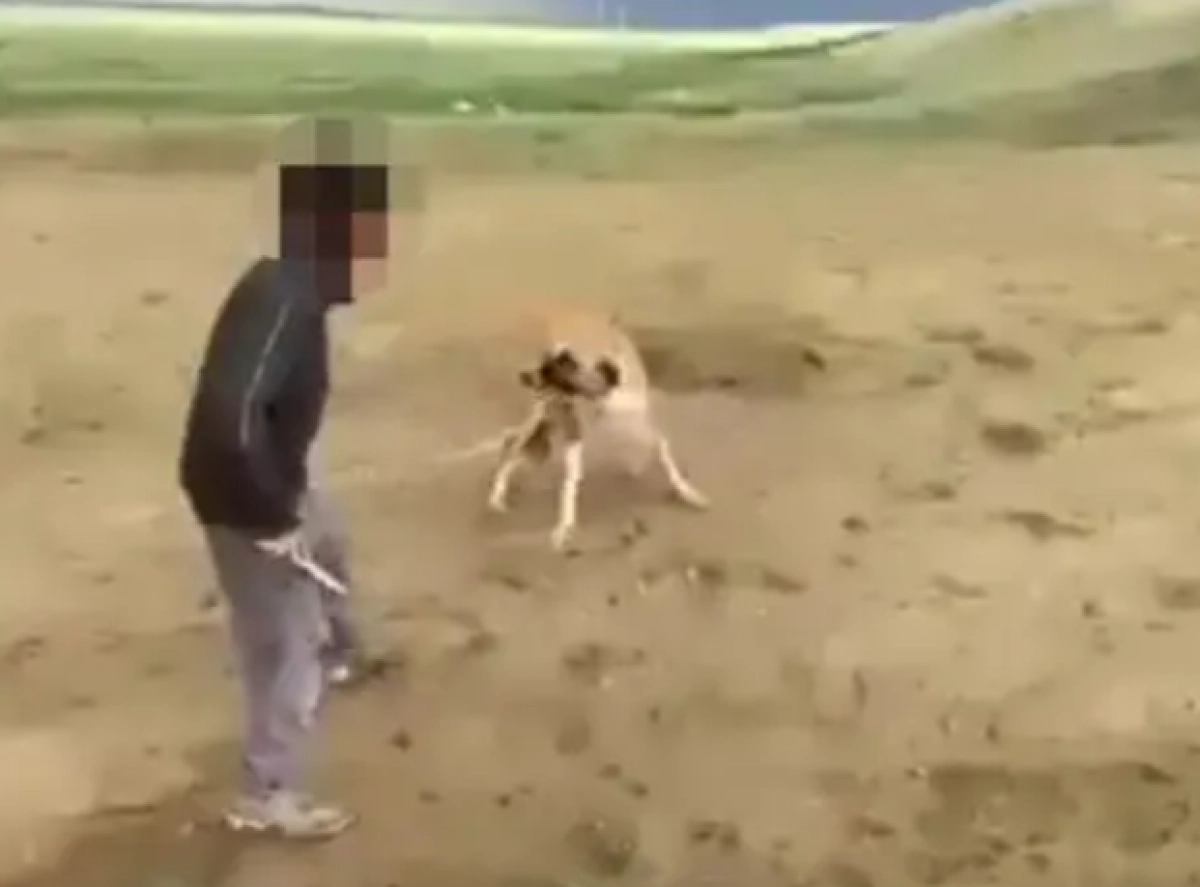 Кадр из видео