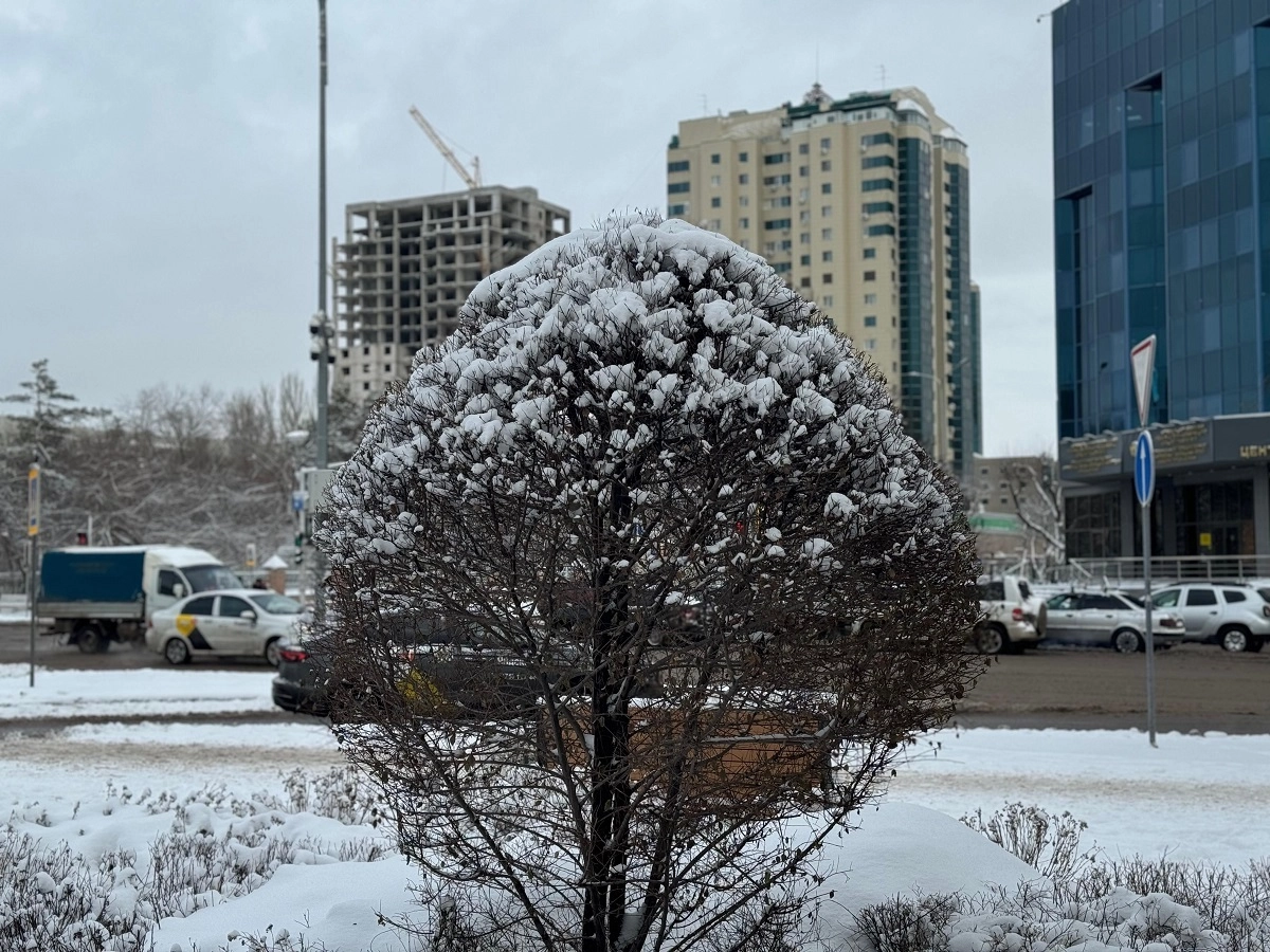 Фото: ИА «NewTimes.kz»