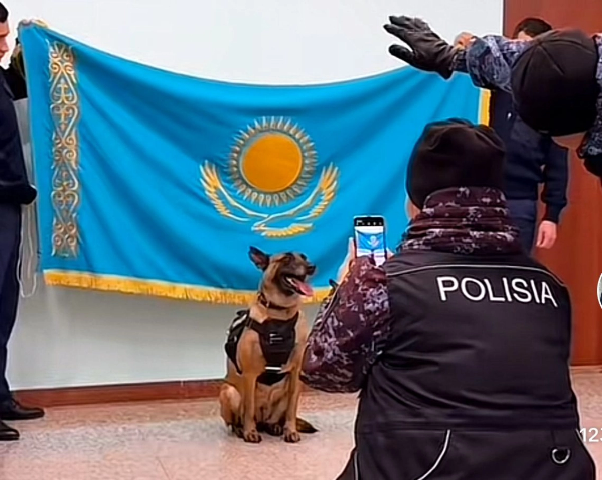 Кадр видео