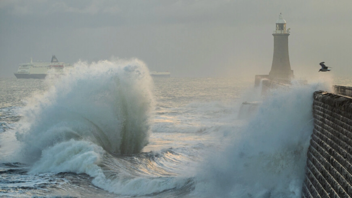 Фото: Zuma\TASS / Cover Images via ZUMA Press