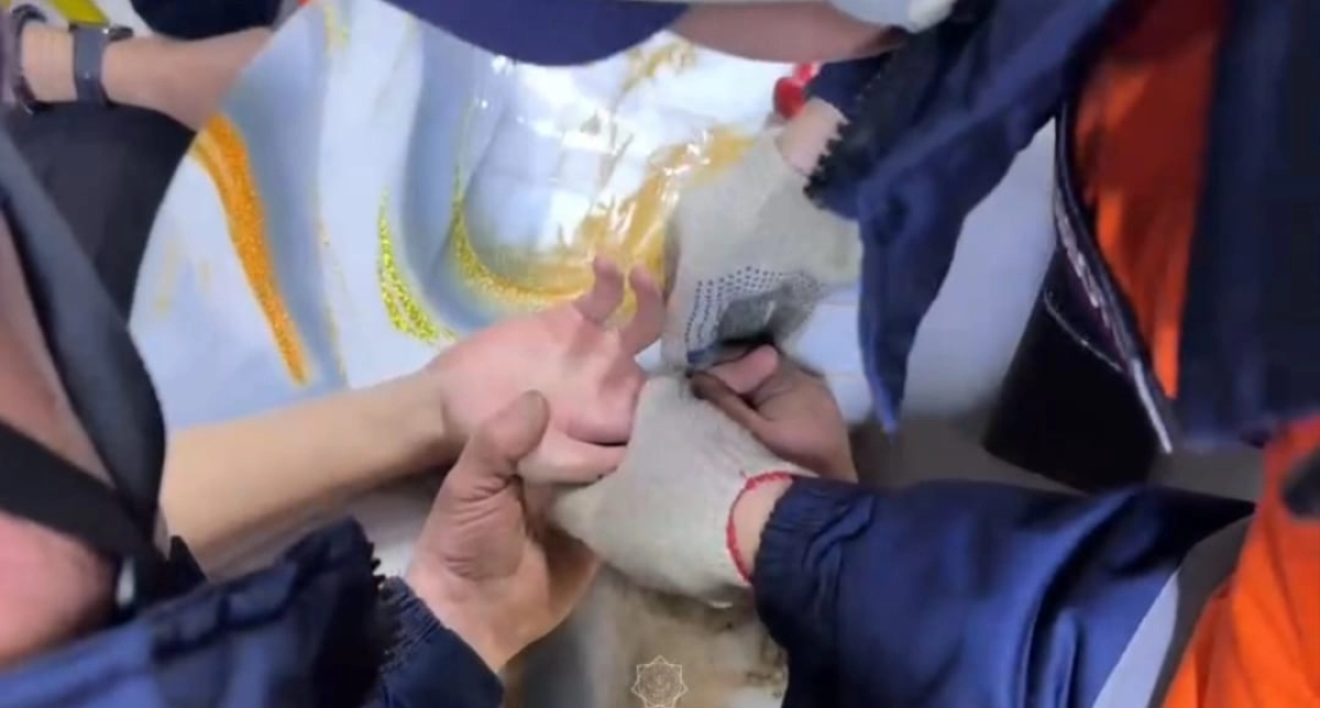 Кадр из видео МЧС РК