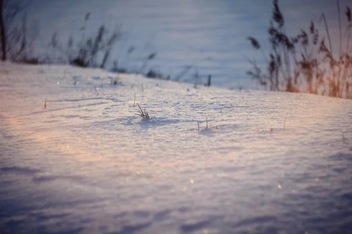 Фото: depositphotos