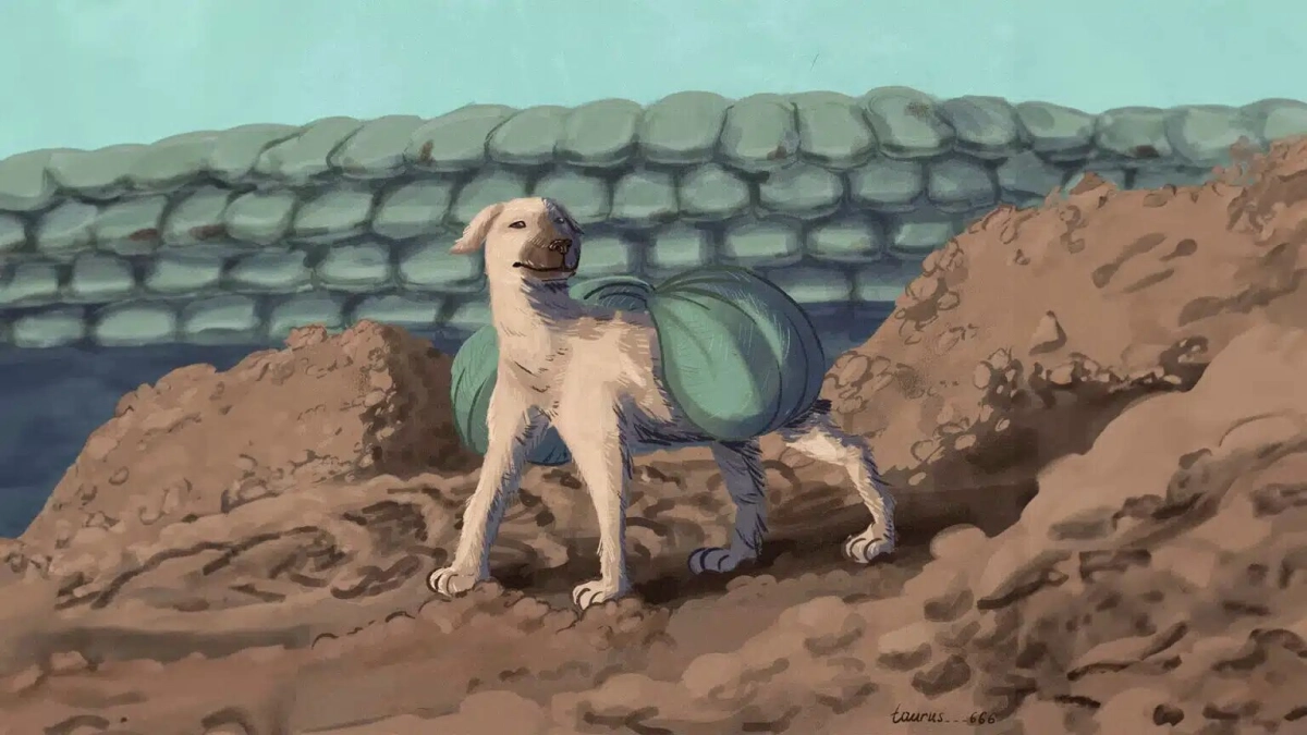 Фото: Instagram.com/murqay