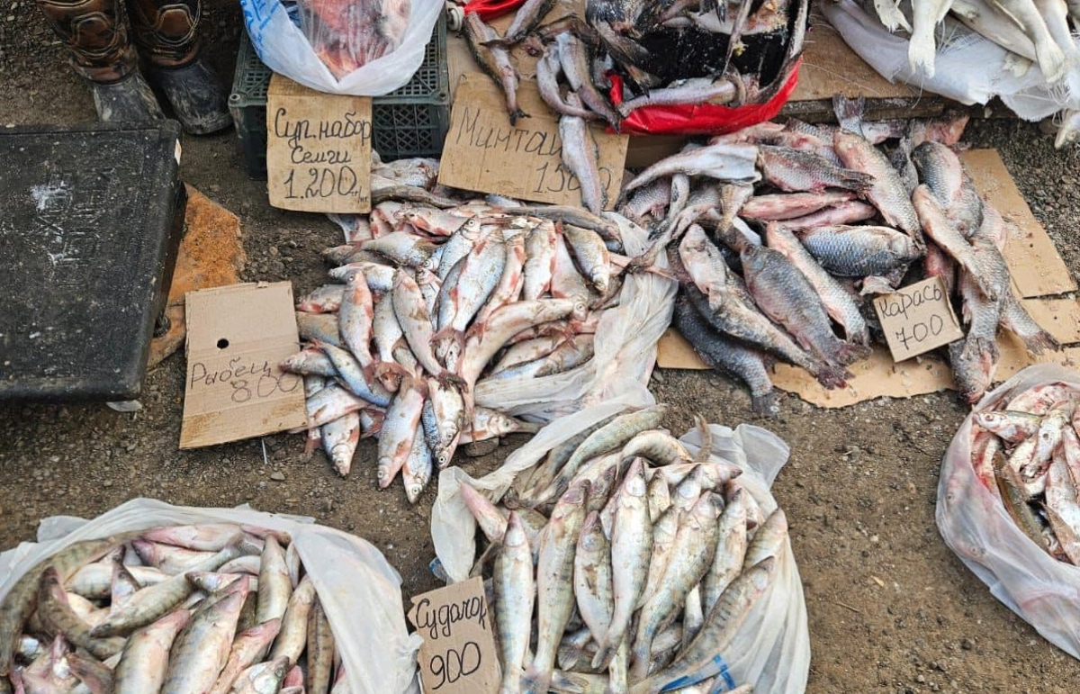 Фото: Виктор Сутягин