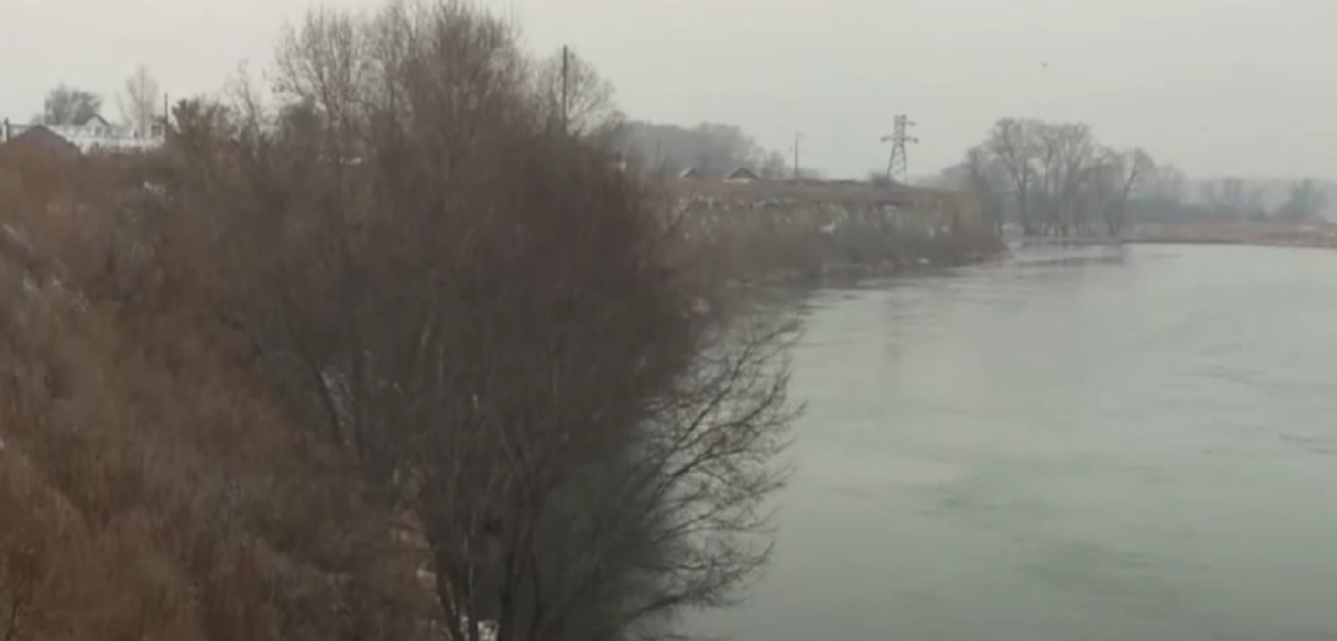 Фото: кадр из видео