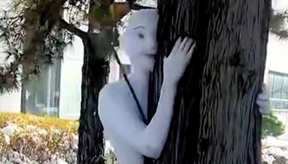 Фото: кадр из видео