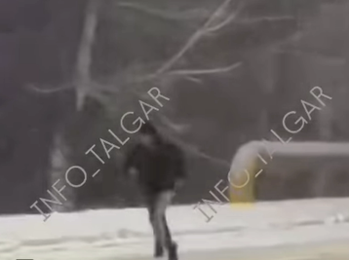 Кадр из видео/ Instagram/ @info_talgar