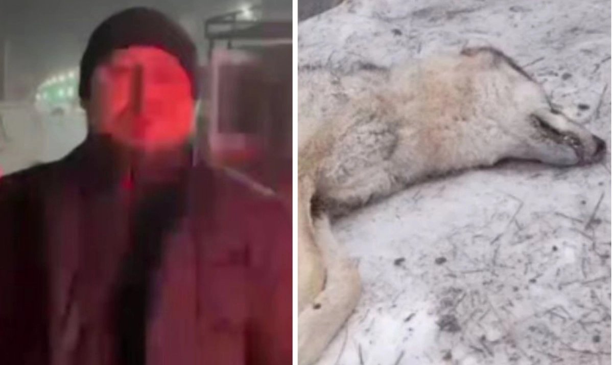 Коллаж  ИА «NewTimes.kz»