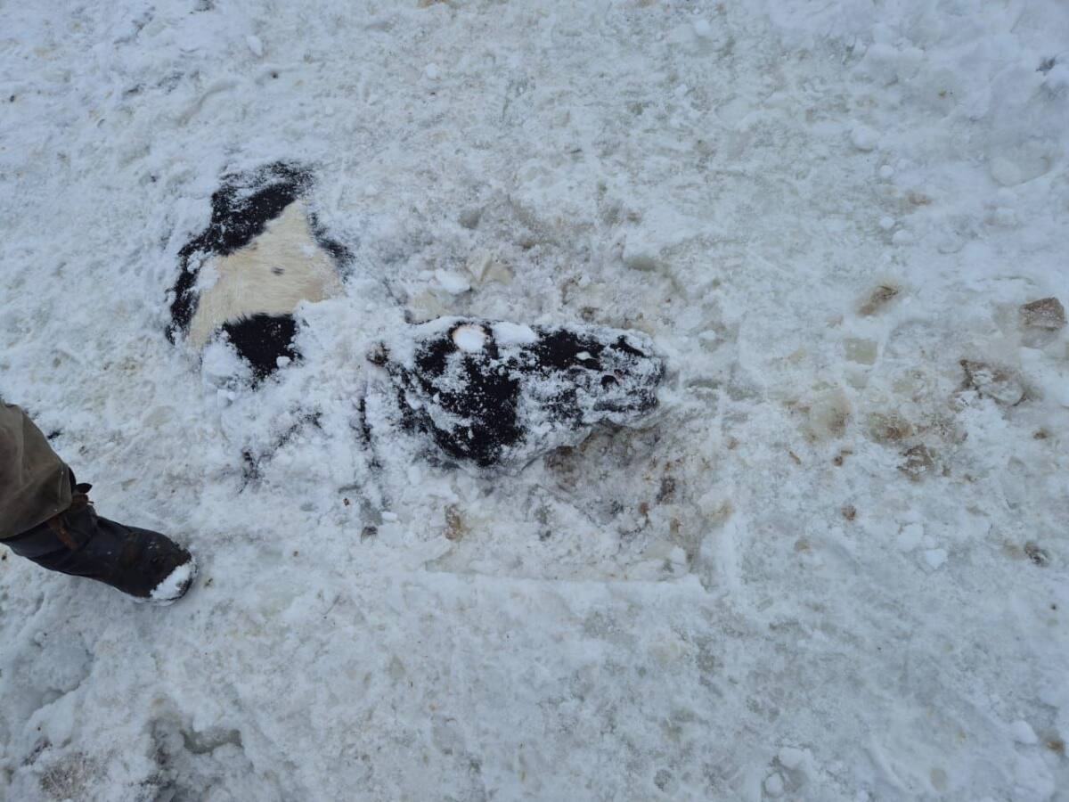 Фото: Polisia.kz