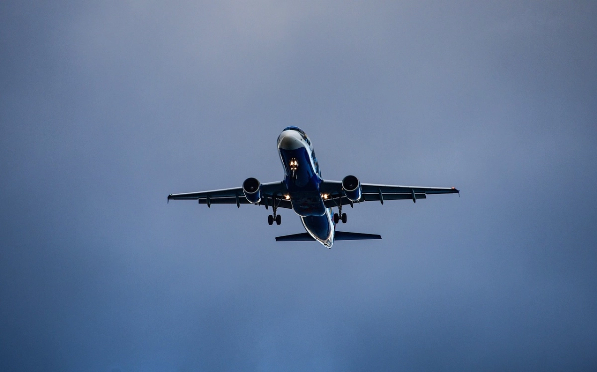 Фото: pixabay