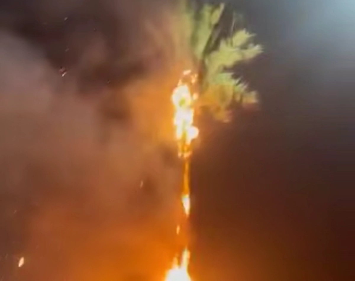 Кадр из видео